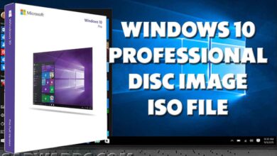 Windows 10 Professional Disc Image (ISO File)